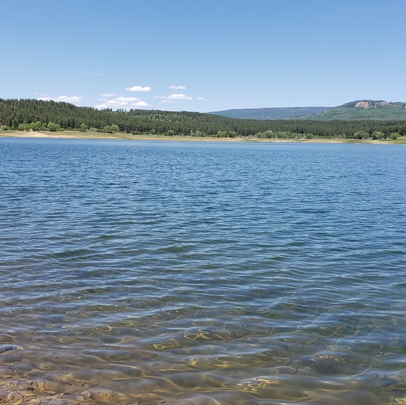 Meet your Posher - Picture 5 of 16